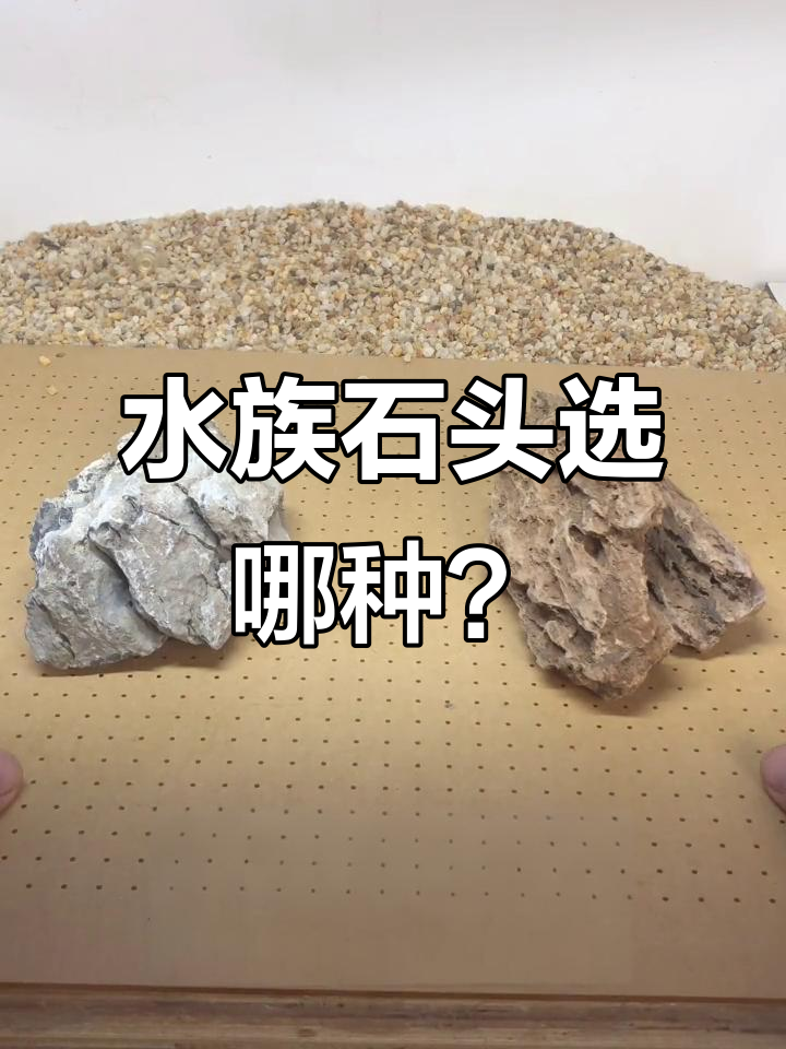 挑选水族造景石,青龙与松皮石的硬水和美观选择