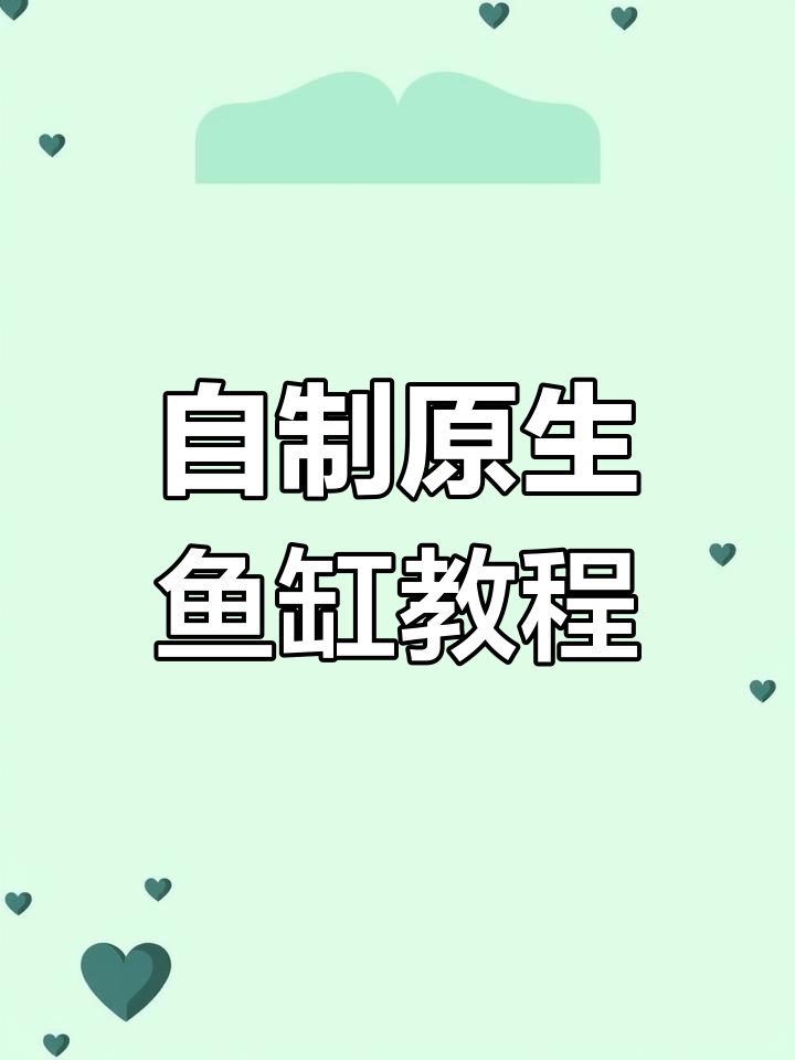 捡到鱼别扔,教你做原生态鱼缸