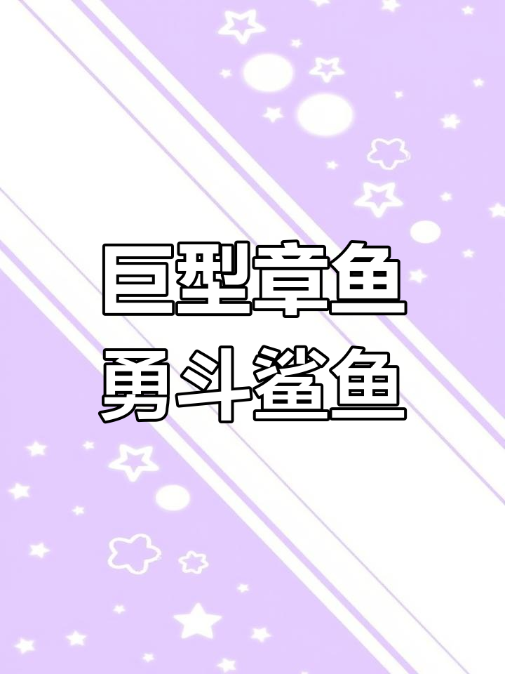 章鱼大战鲨鱼,巨型章鱼主动袭击险胜