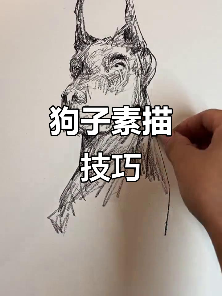 速写狗子,从眼睛开始画!
