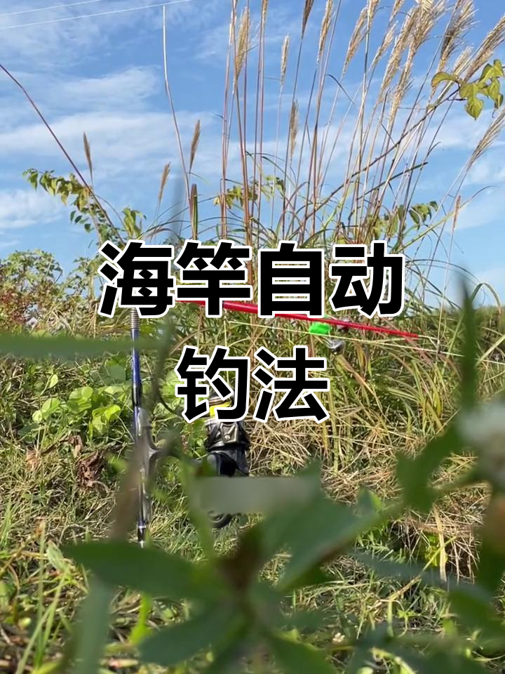 自动钓鱼的海竿技巧,轻松应对大鱼
