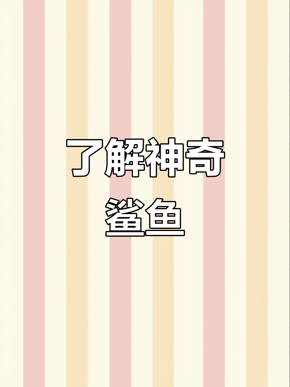 鲨鱼:从恐龙时代到海洋守护者,揭秘它们的秘密