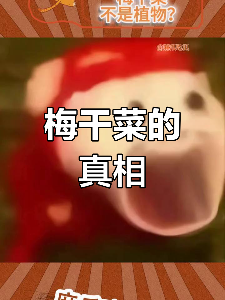 梅干菜原来不是蔬菜,这些青菜都能做!