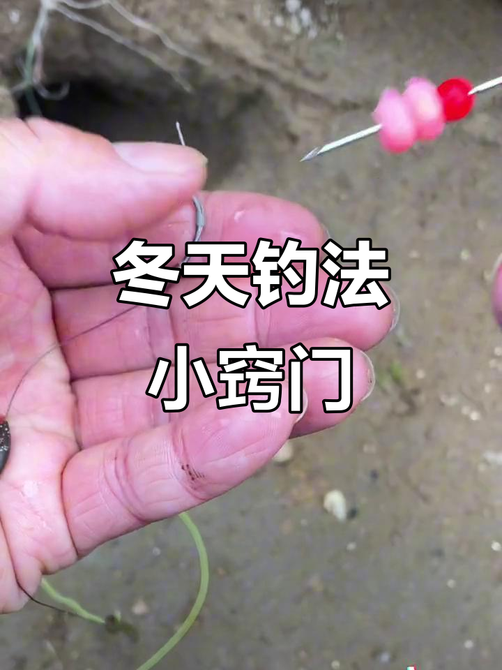 冬季钓鱼技巧:玉米粒与泡沫球的完美搭配