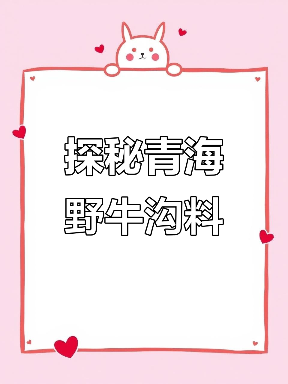 青海野牛沟料:山料之王背后的秘密与挑战