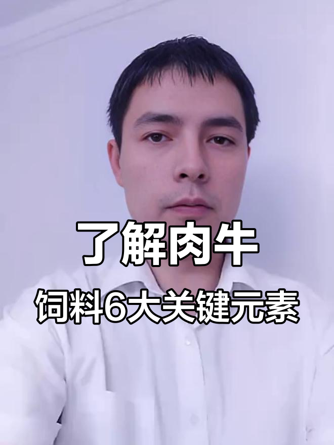 肉牛饲料六大要素,掌握这些配料技巧