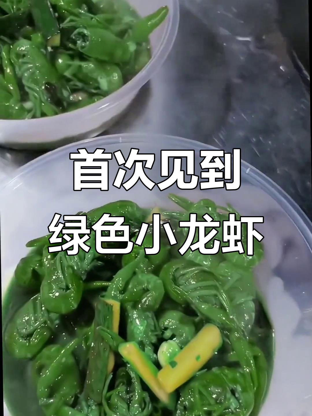 亚洲绿沟龙小龙虾,竟然能吃!第一次见绿色龙虾