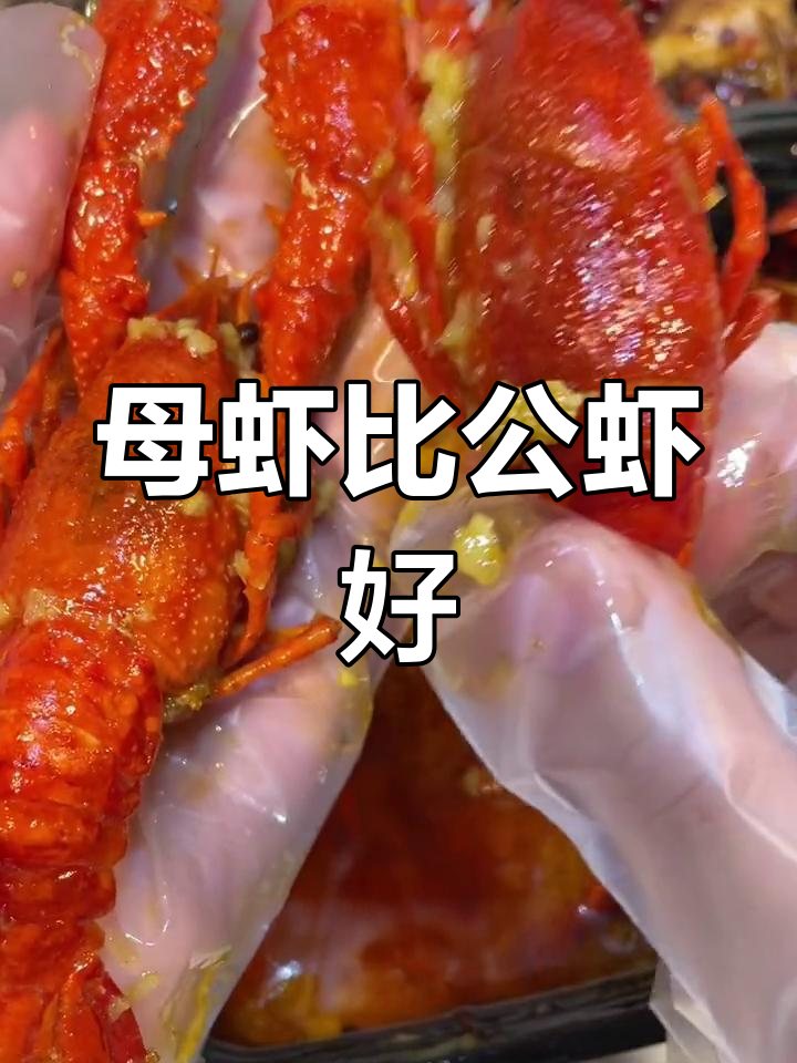 公母虾的区别与价格差异
