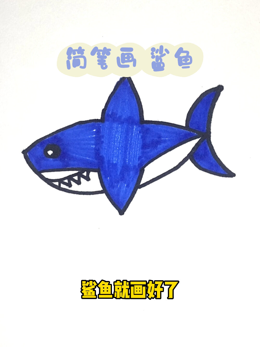 简笔画 鲨鱼