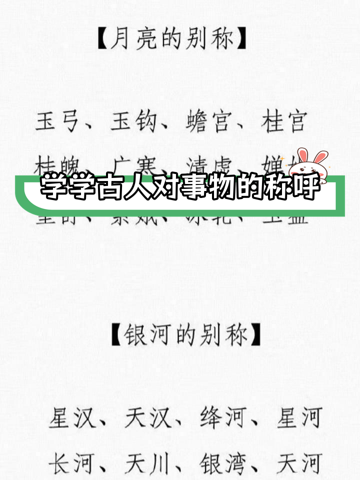 筒子骨萝卜汤的做法:冷水下锅去血沫,慢炖两小时加调料