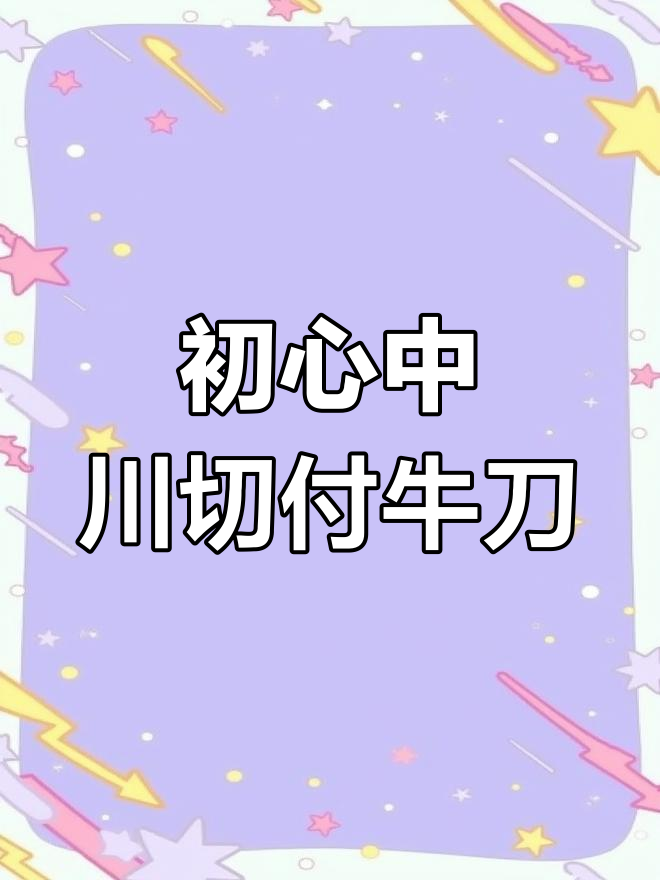 日本进口多功能厨刀,锋利耐用适合切肉