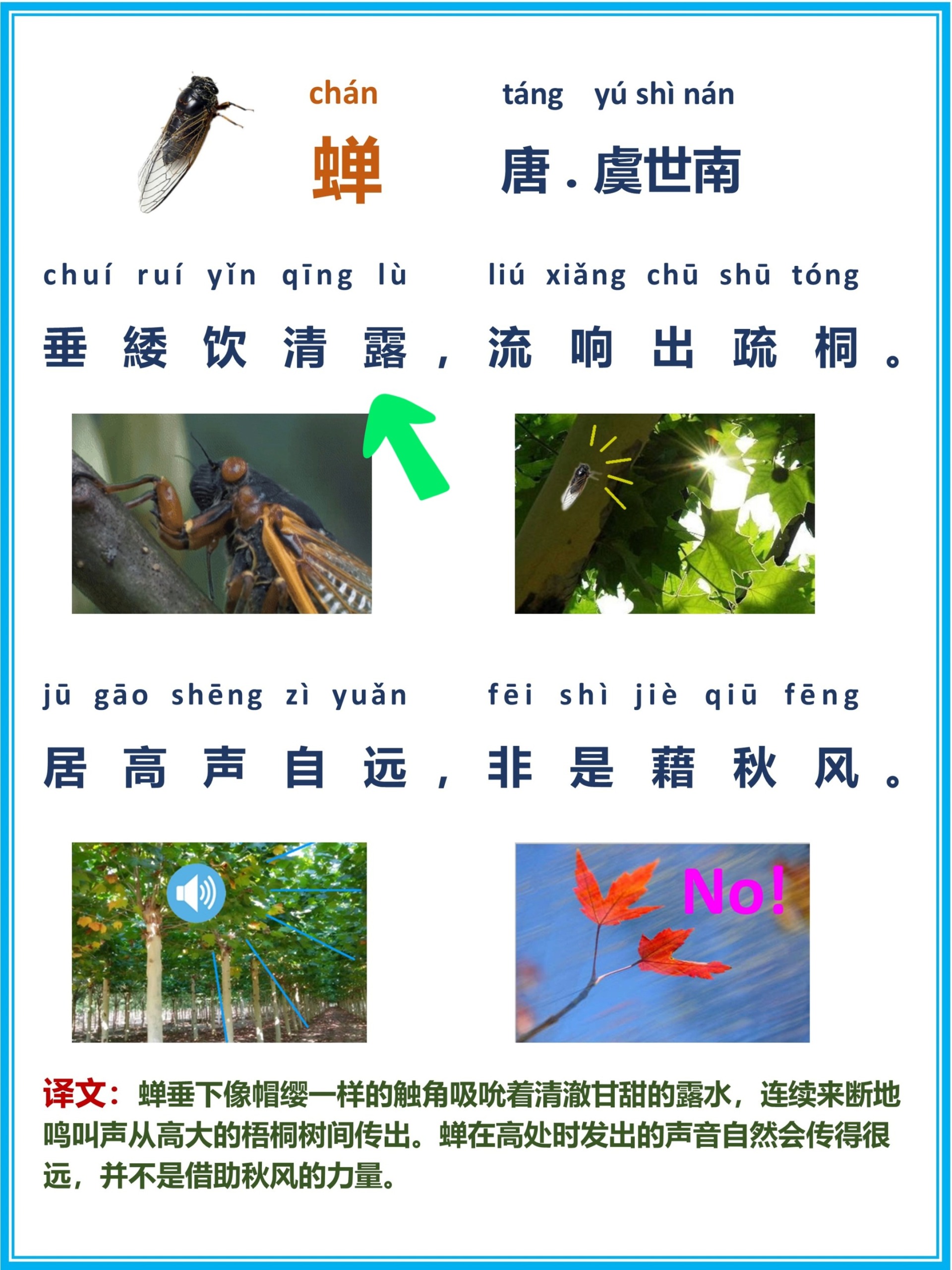 古诗词|《蝉》唐.虞世南