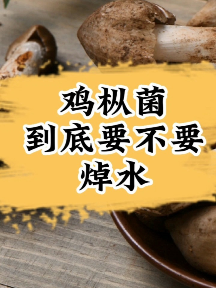 新鲜鸡枞菌,到底要不要焯水,看完才知道!