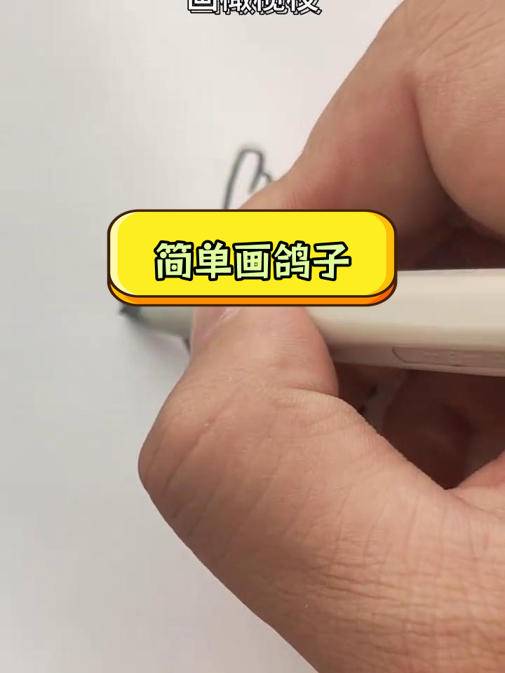 国庆节和平鸽简笔画教程