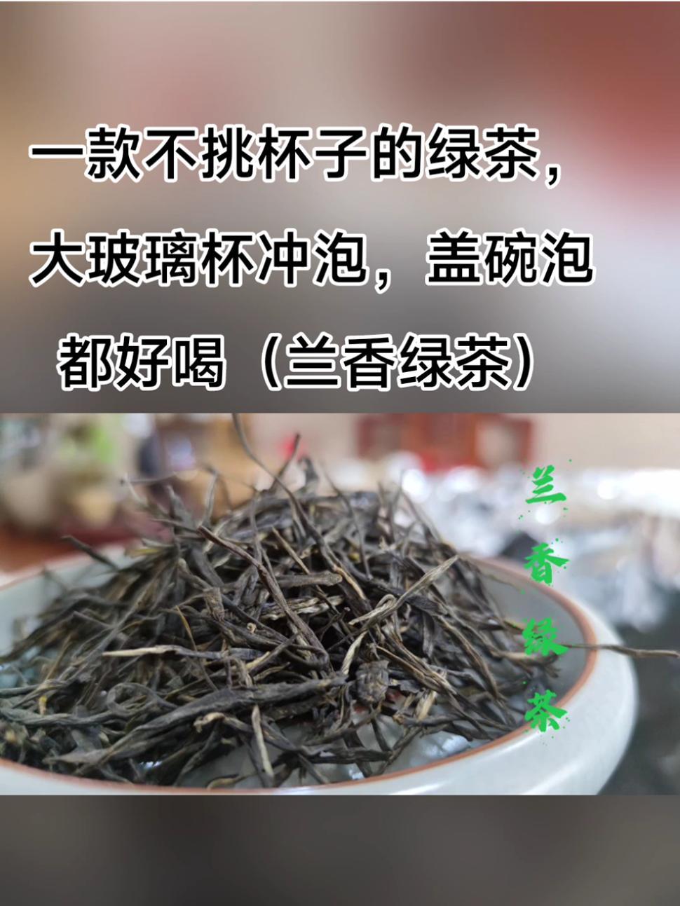 一款不挑杯子的绿茶,大玻璃杯冲泡,盖碗泡都好喝(兰香绿茶)滇绿茶 绿茶 茶 爱喝茶的关注我