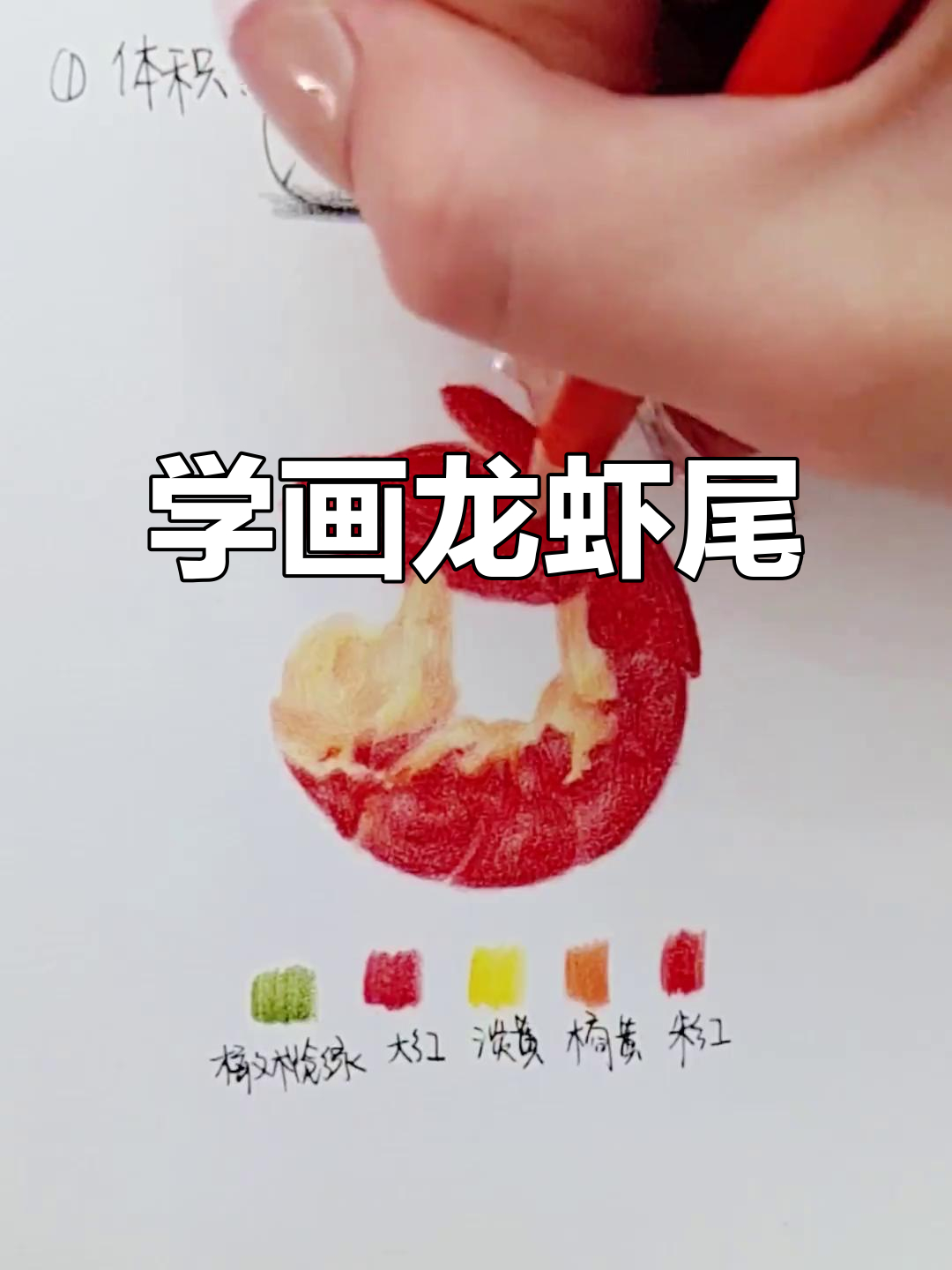 彩铅画美味小龙虾,步骤详解轻松学会