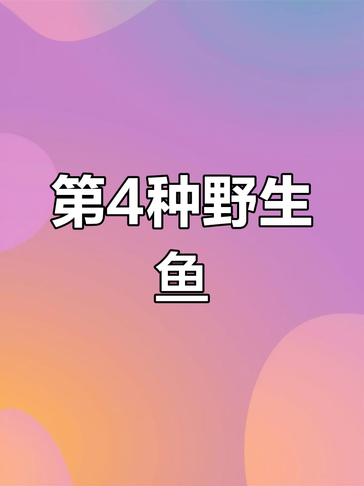 探索木叶鱼,挑战野生鱼类第4种