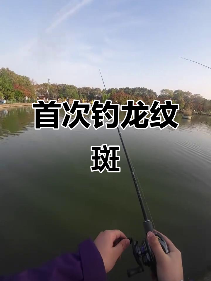 上海浦东钓龙纹斑,路亚基地新手体验