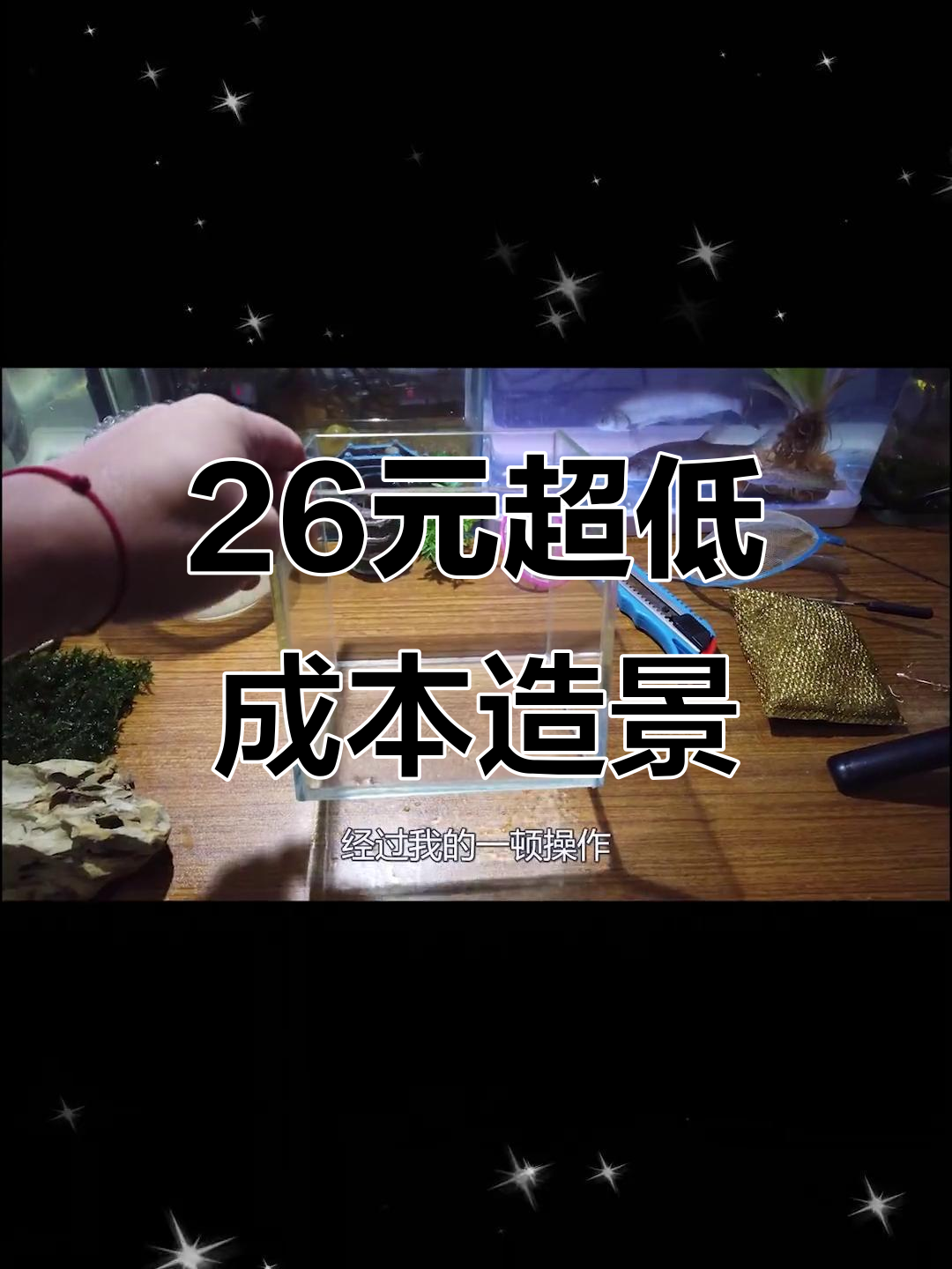 用26元打造豪华微景观鱼缸，山体皇宫风格来袭