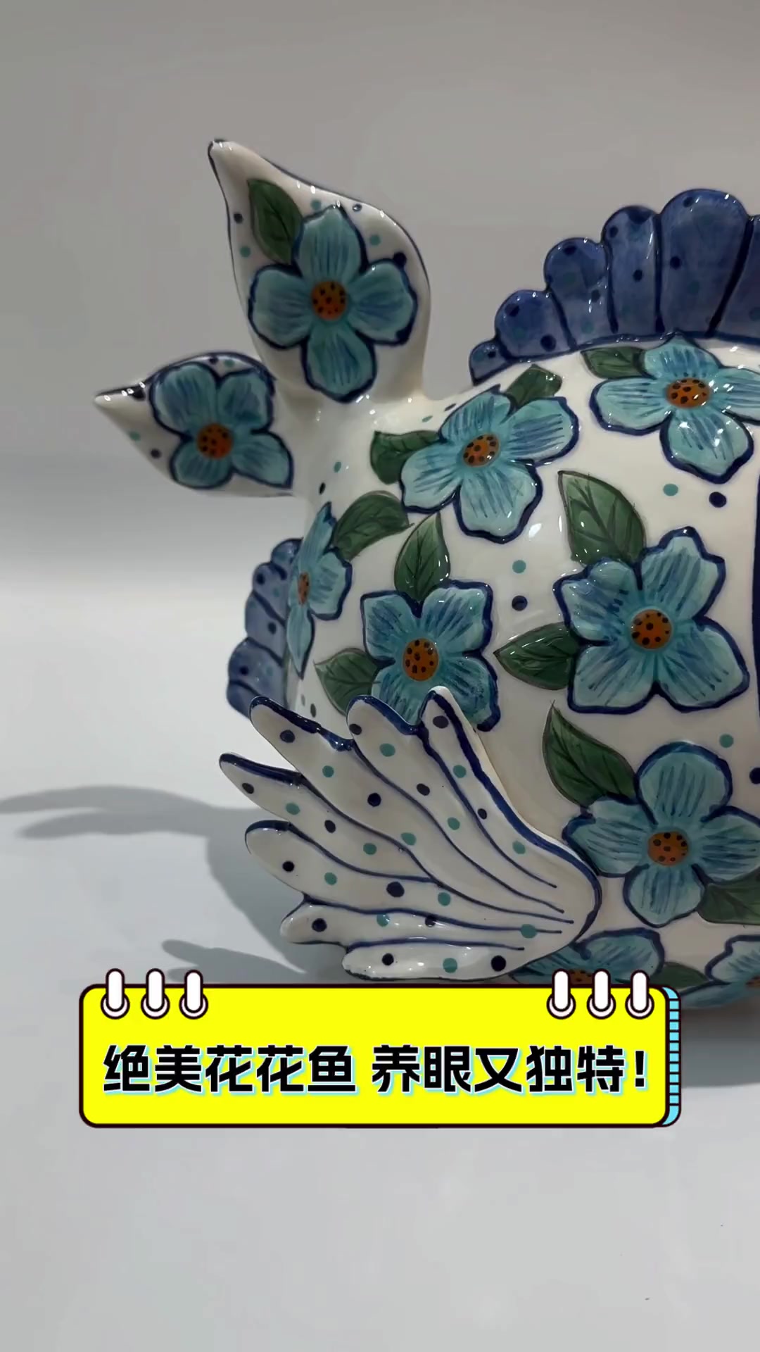 绝美花花鱼,养眼又独特!