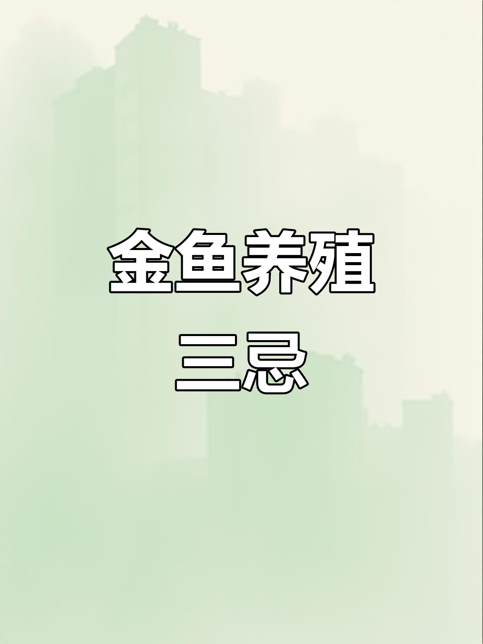 养金鱼必知三大禁忌，避免水质污染和健康问题