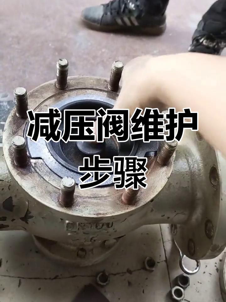 减压阀维修全攻略:清洗活塞环与拆解技巧