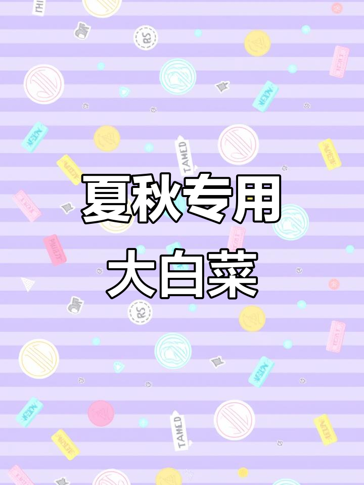 夏季必备!早熟大白菜种子,脆嫩可口,炖煮凉拌皆宜