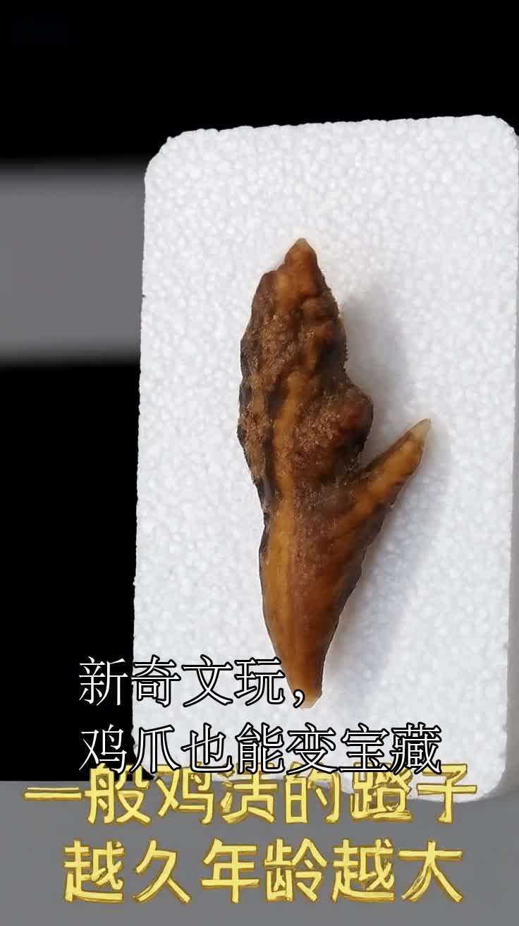 新奇文玩,鸡爪也能变宝藏