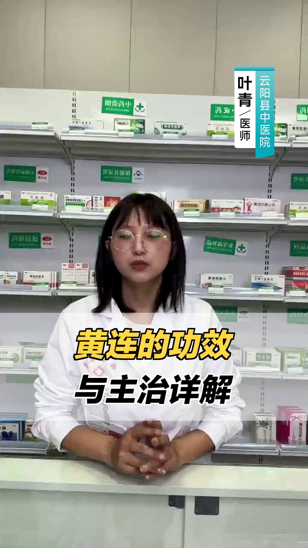 黄连的功效与主治详解
