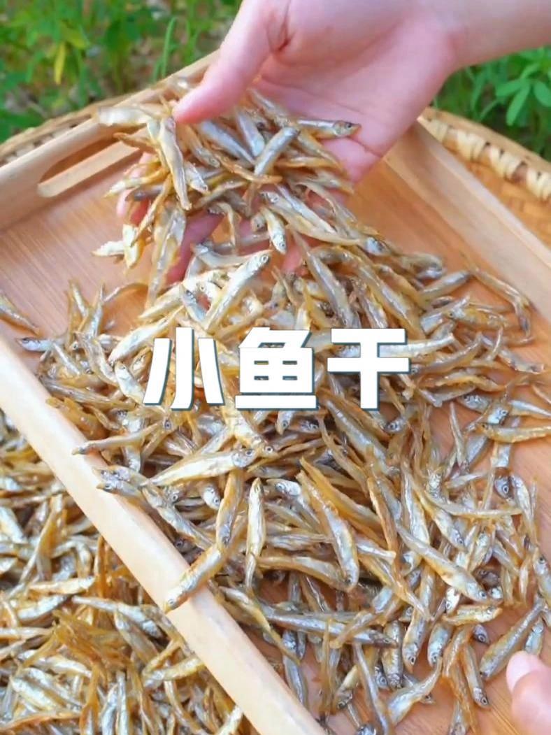公干鱼干白公鱼/美味小鱼干/海鲜干货/海燕丁香鱼 小鱼干 鱼干 海鲜干货 超好吃 超实惠