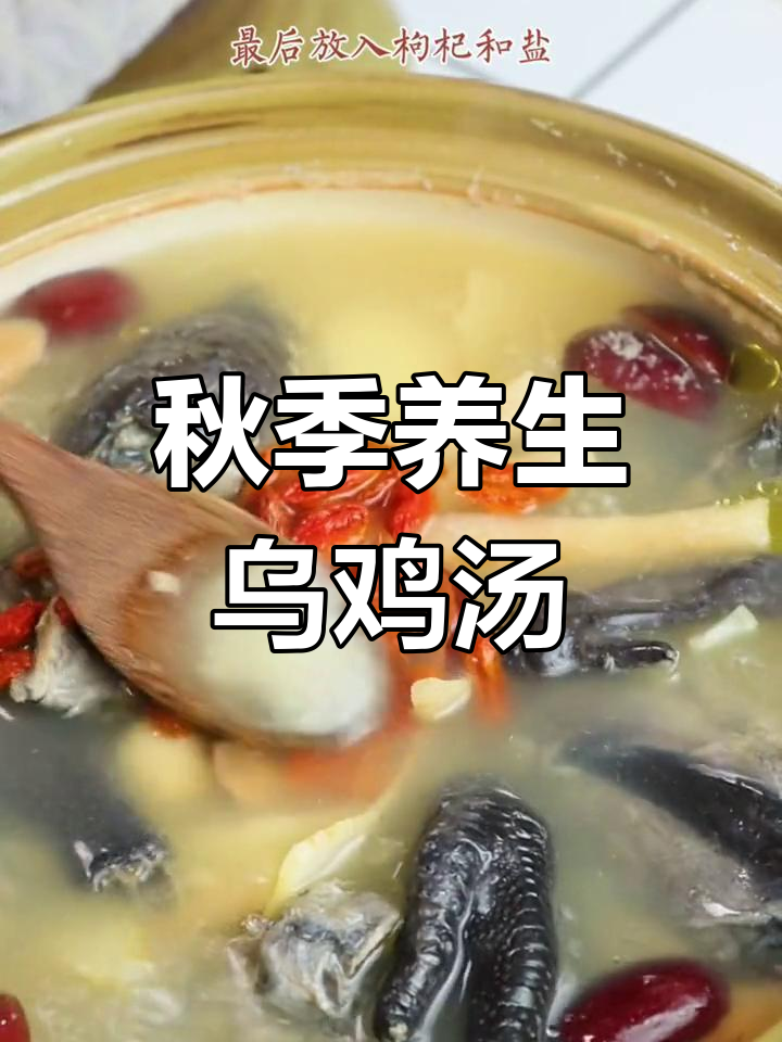秋季必备乌鸡汤,滋补又养胃