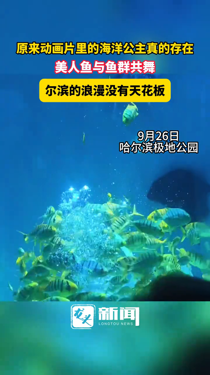 原来动画片里的海洋公主真的存在,美人鱼与鱼群共舞