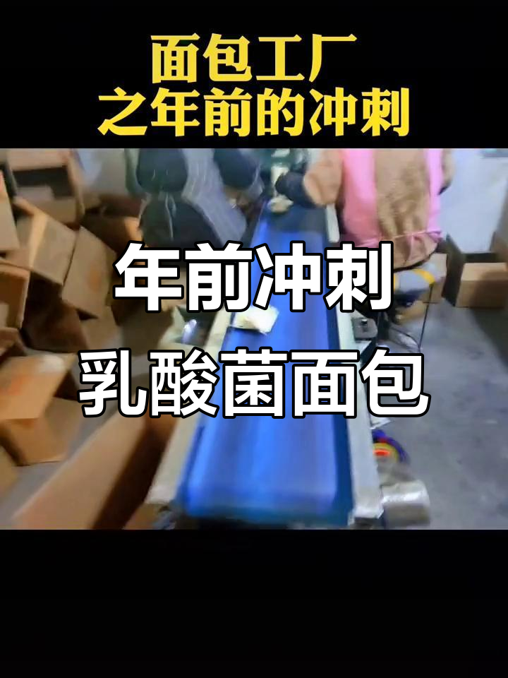 年前最后一波冲刺,乳酸菌小口袋面包火爆出炉