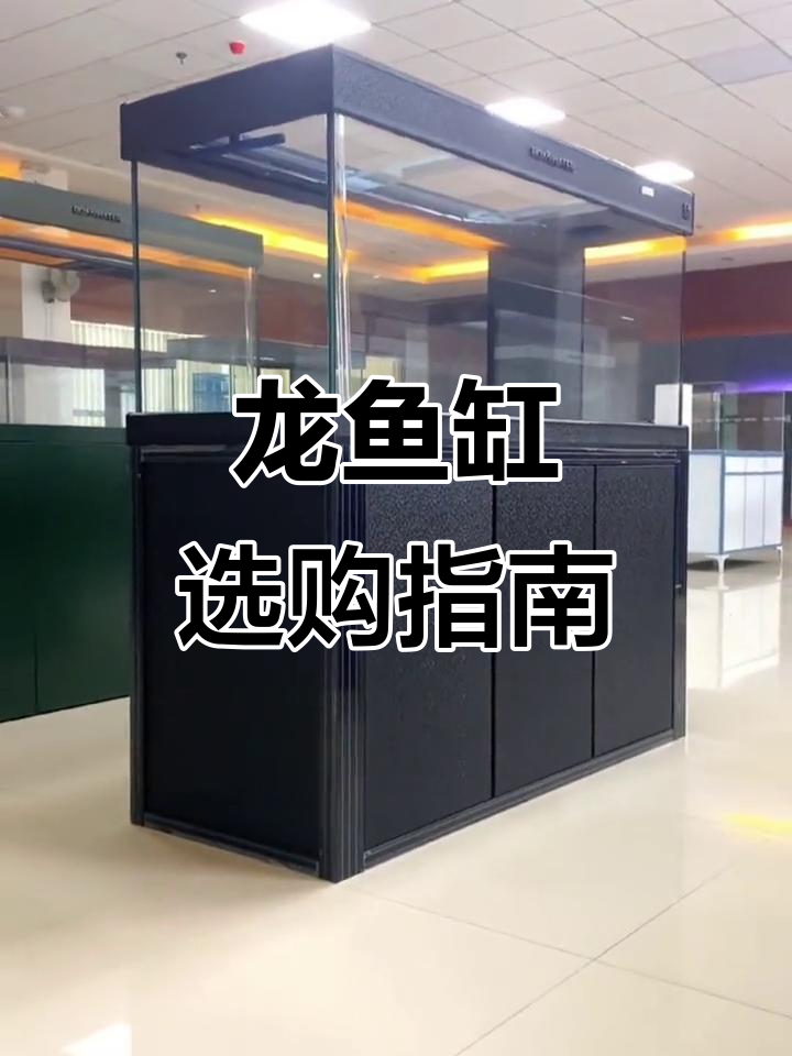 博特鱼缸:精细做工,龙鱼爱好者的首选