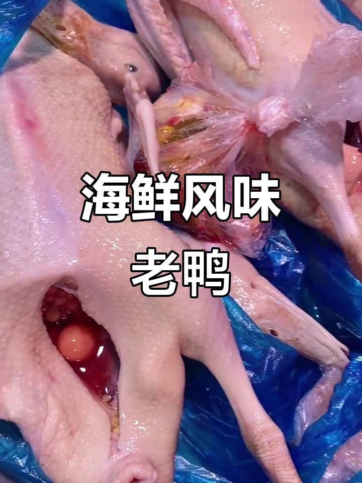 海边散养老鸭,肉质鲜美无腥味,与家养大不同!