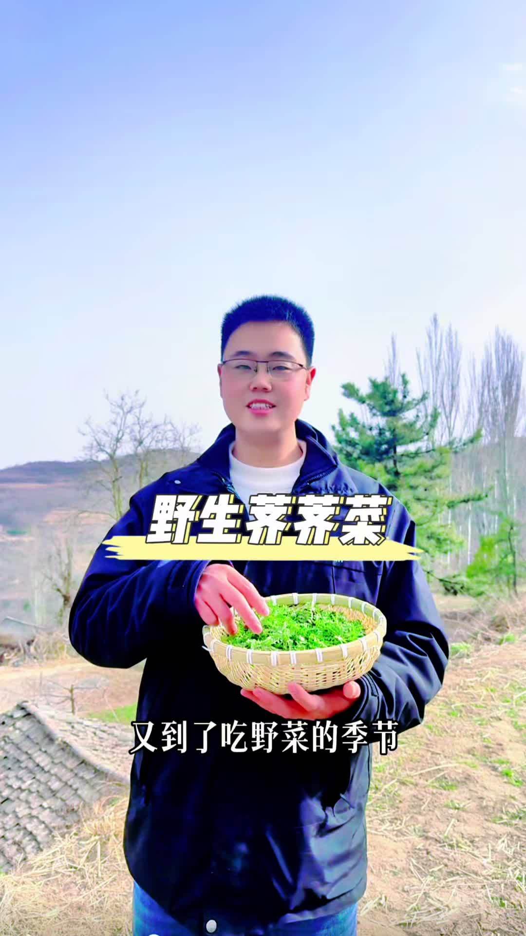 春天必吃的山野菜,野生荠荠菜,可以做很多种美食、它的营养价值也很高,大家有认识的吗?创作灵