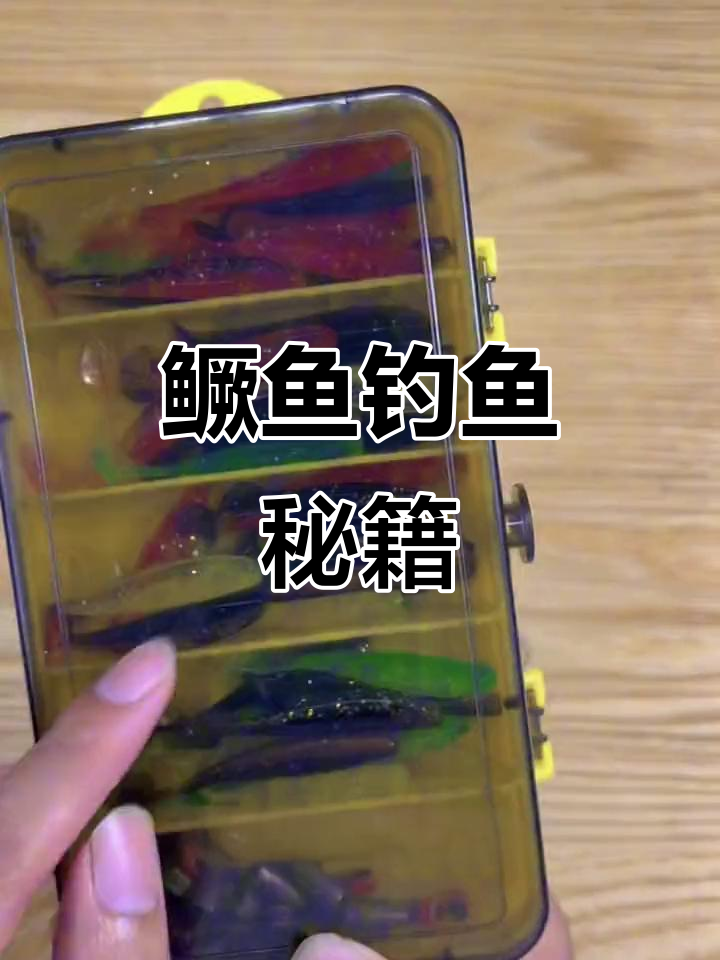 鳜鱼垂钓必备三组，轻松搭配，一盒全搞定！