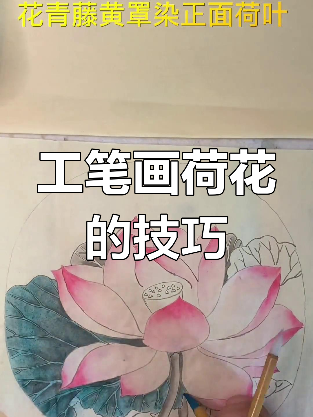 画工笔荷花,步骤详解带你一步步学会