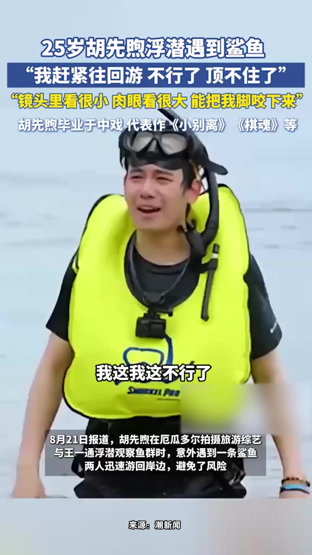 25岁胡先煦浮潜遇到鲨鱼,“我赶紧往回游,不行了,顶不住了”