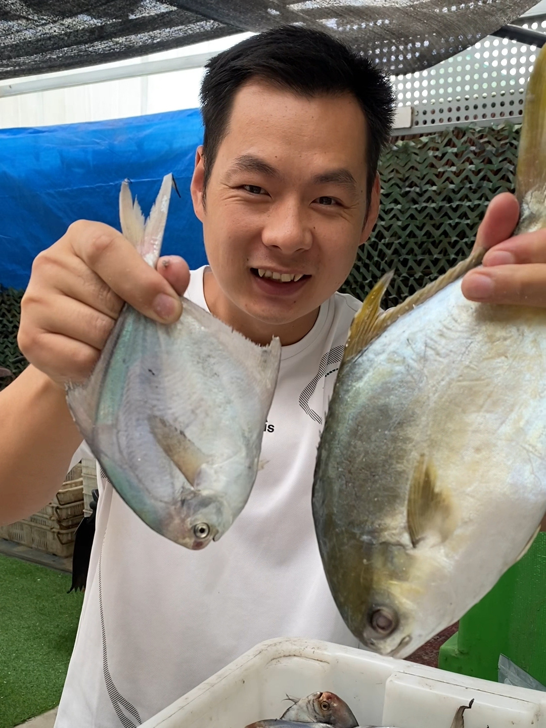 金鲳鱼和银鲳鱼,让你选你会选择哪一个?