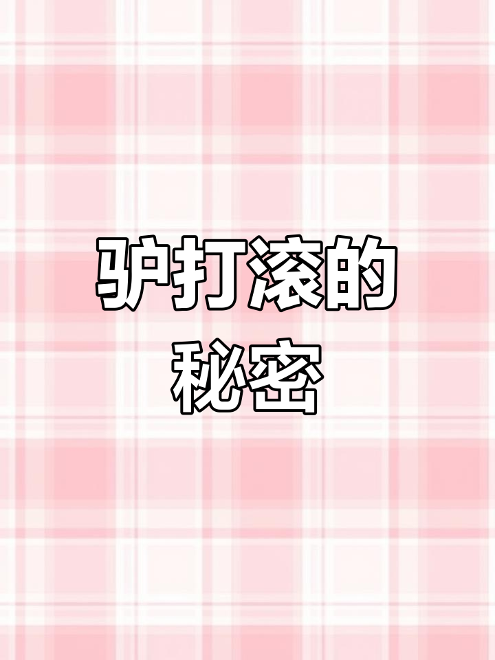 2022年9月7日,探秘驴打滚名字由来