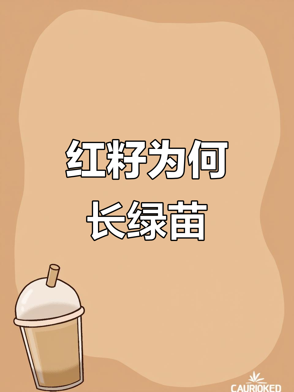 为什么用红色苋菜种子种出来的却是绿色?