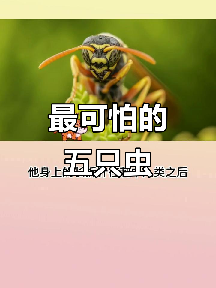 世界上最恐怖的五种虫子，第一名让人无法逃脱