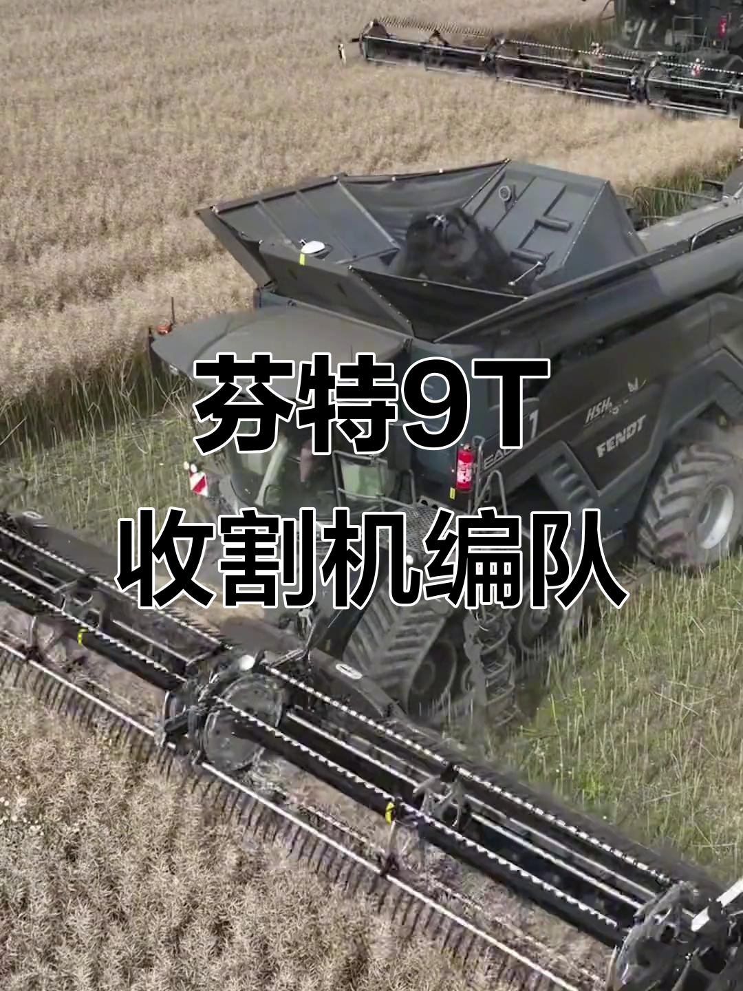 芬特9T收割机两台编队作业，油菜籽高效收获