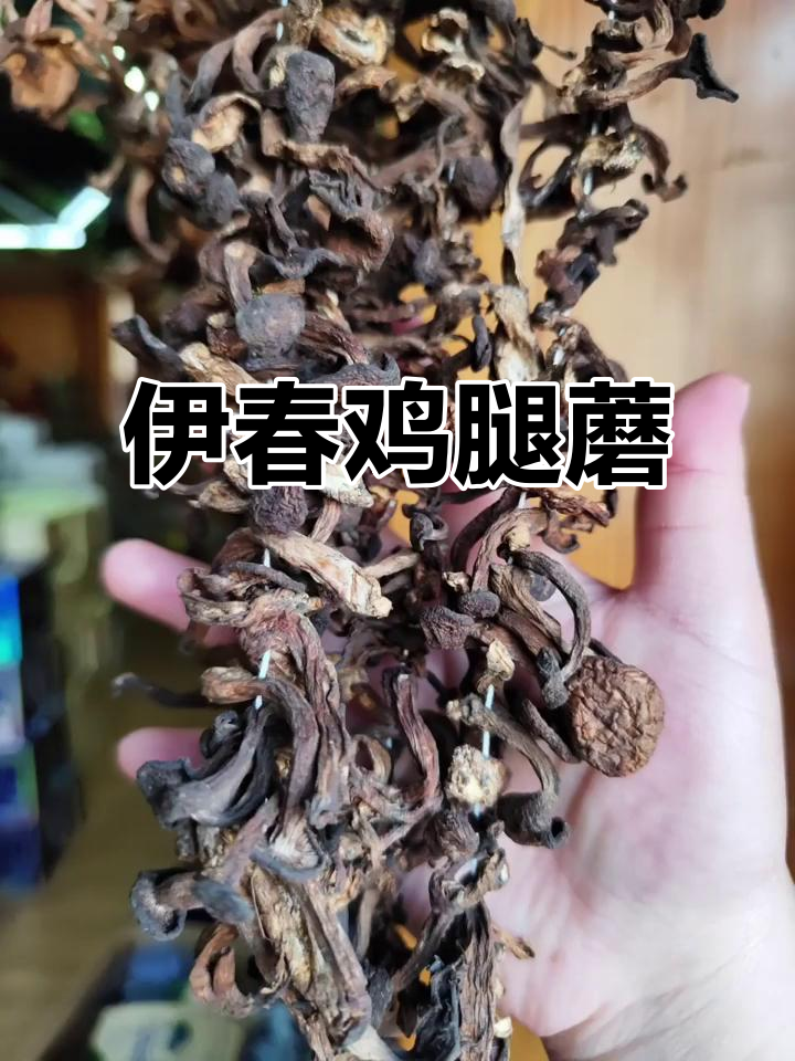 伊春鸡腿蘑：美味特产，不容错过