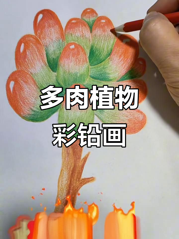 彩铅手绘多肉植物,挑战极限绘画技巧