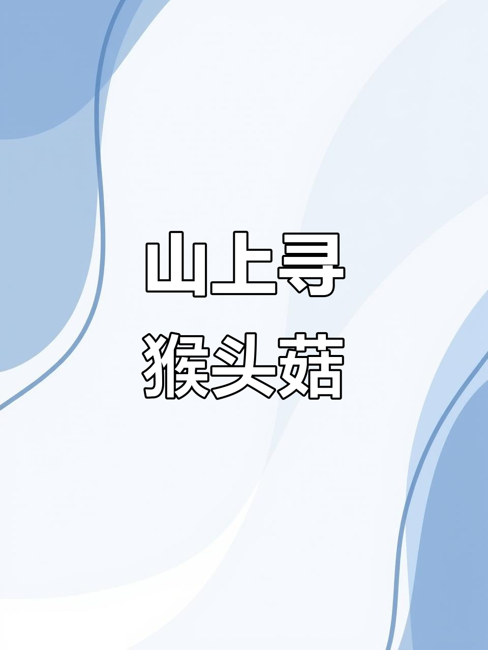 上山采猴头菇,意外发现蕨菜和蘑菇,环保小贴士送上