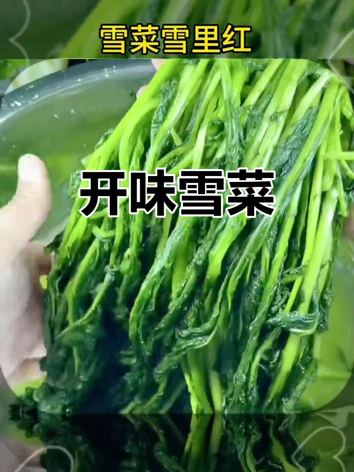 雪菜腌制,脆嫩开胃,三斤送五斤!