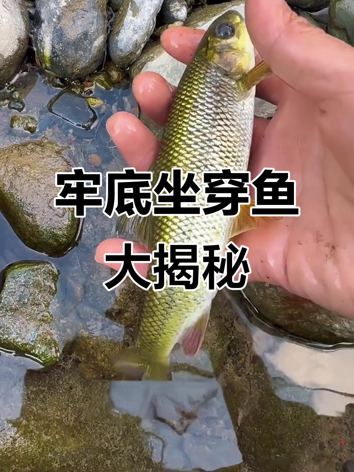 10种濒临灭绝的珍稀鱼类,看看你认识几种?