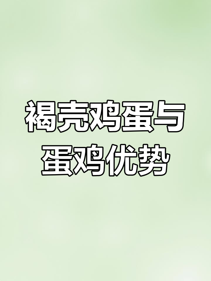 褐壳蛋鸡的优缺点分析:适合大规模养殖的高产品种